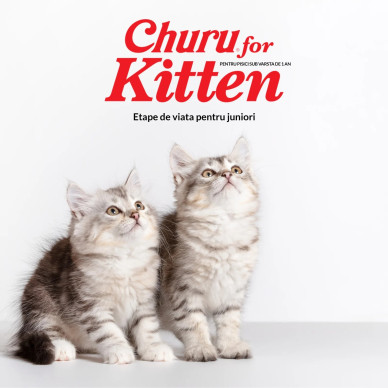 Churu Kitten cu Ton, 4 x 14 g – recompensă cremoasă pentru pisoi